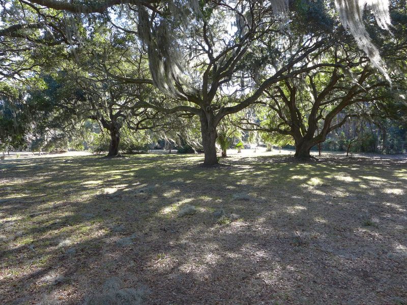 698 Outback Ln, Edisto Island, SC 29438