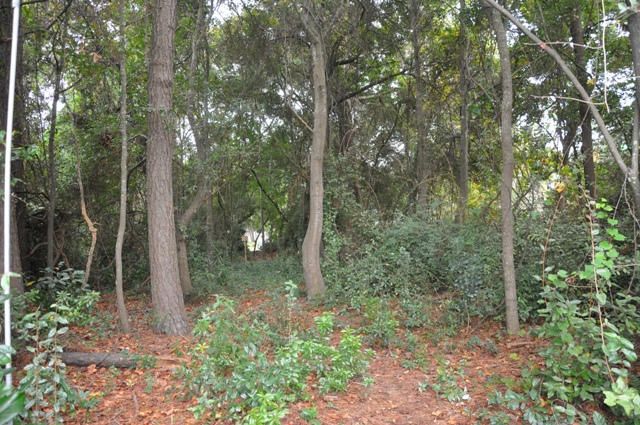 0 Brantley Dr, Charleston, SC 29412