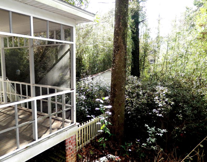 525 W Carolina Ave, Summerville, SC 29483