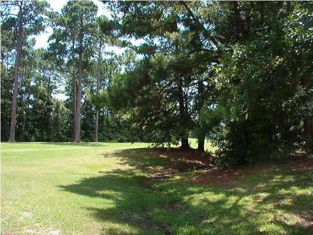 4694 Silver Oak Ln, Hollywood, SC 29449