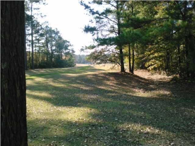4694 Silver Oak Ln, Hollywood, SC 29449
