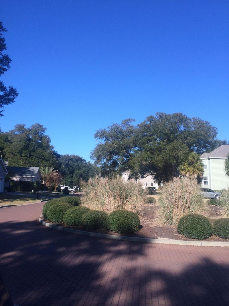 3262 Johnstowne St, Johns Island, SC 29455