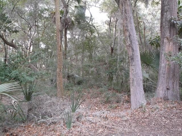34 Lemoyne Ln, Kiawah Island, SC 29455