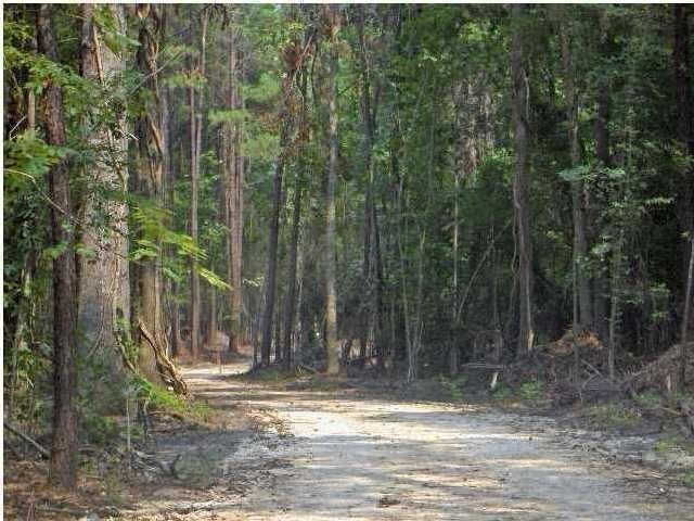 1 Callison Ln, Ridgeville, SC 29472