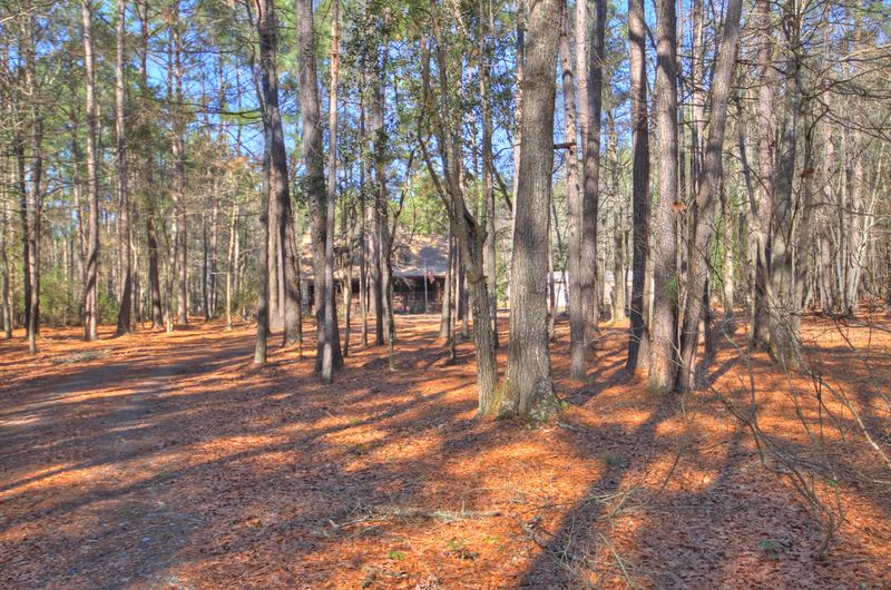 140 Hollyridge Ln, Summerville, SC 29483