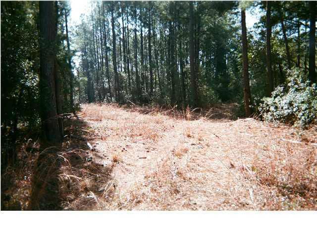 0 Platt Rd, Johns Island, SC 29455
