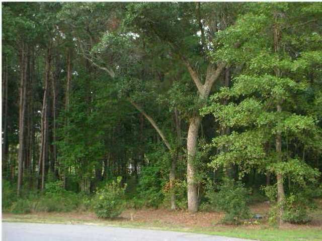 34 Thunder Gulch Trl, Mount Pleasant, SC 29466