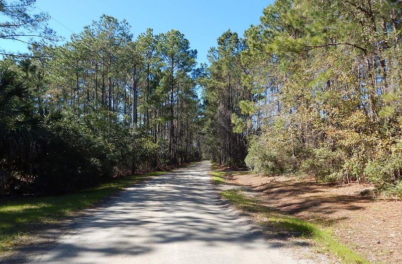 8248 Crooked Creek, Edisto Island, SC 29438