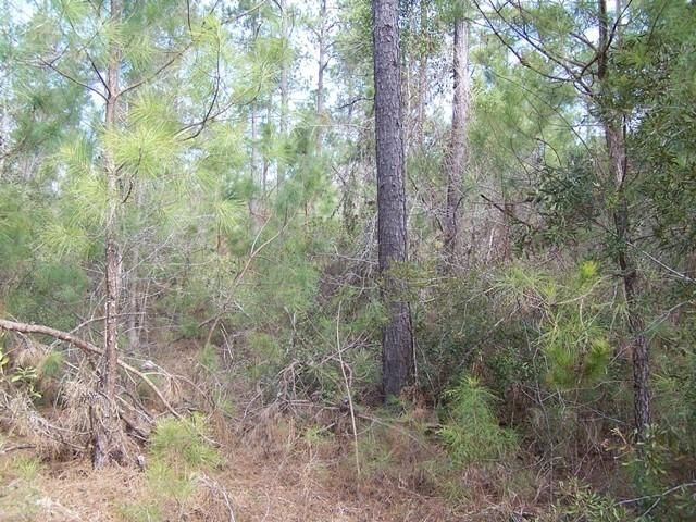 0 Us Hwy 52, Bonneau, SC 29431