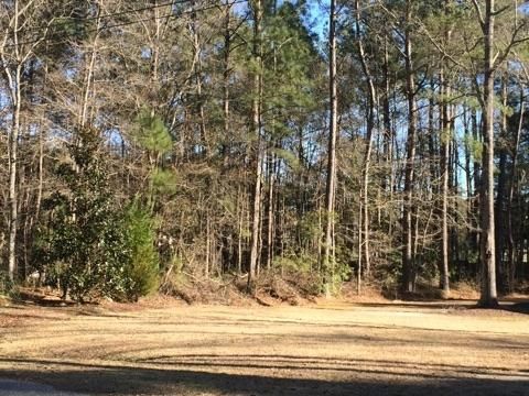 0 Picadilly Loop #1, Summerville, SC 29483