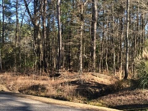 0 Picadilly Loop #3, Summerville, SC 29483