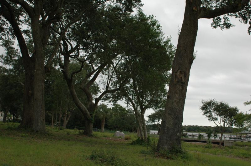 Lot C Lightkeepers Ln, Awendaw, SC 29429