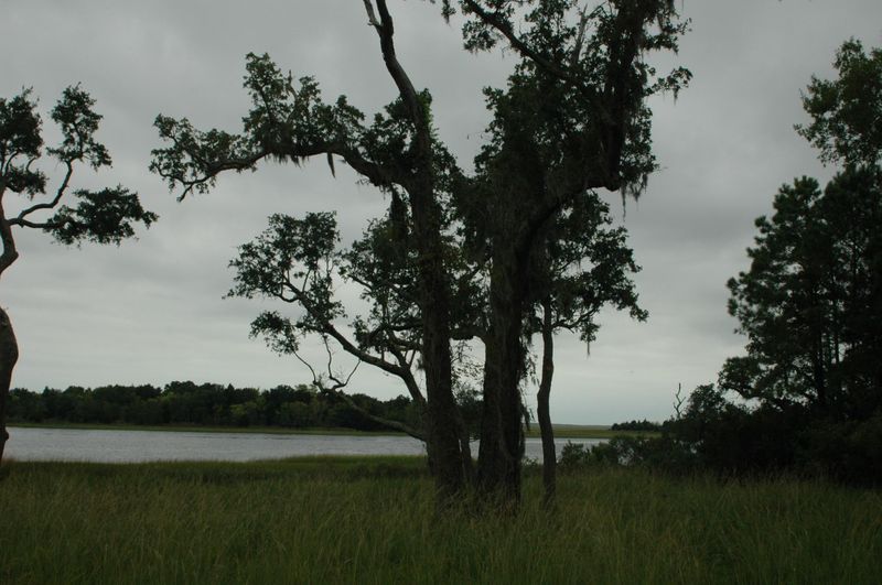 Lot C Lightkeepers Ln, Awendaw, SC 29429