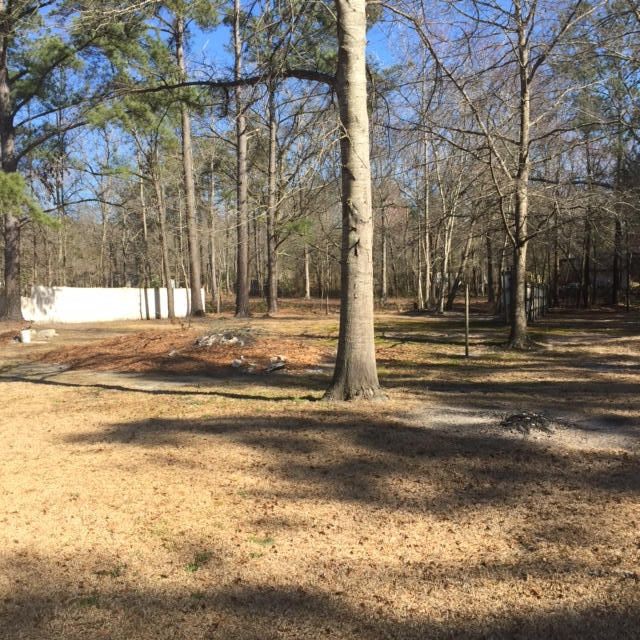 276 Domingo Dr, Moncks Corner, SC 29461