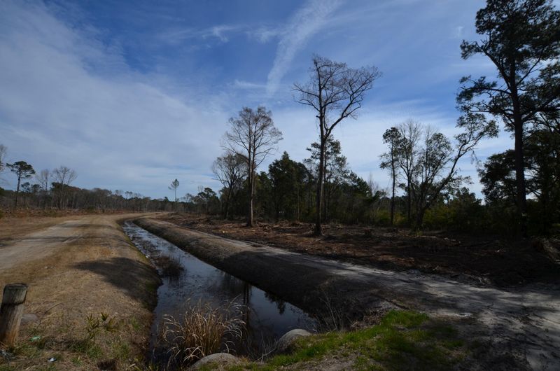 0 Weston Rd, Mcclellanville, SC 29458