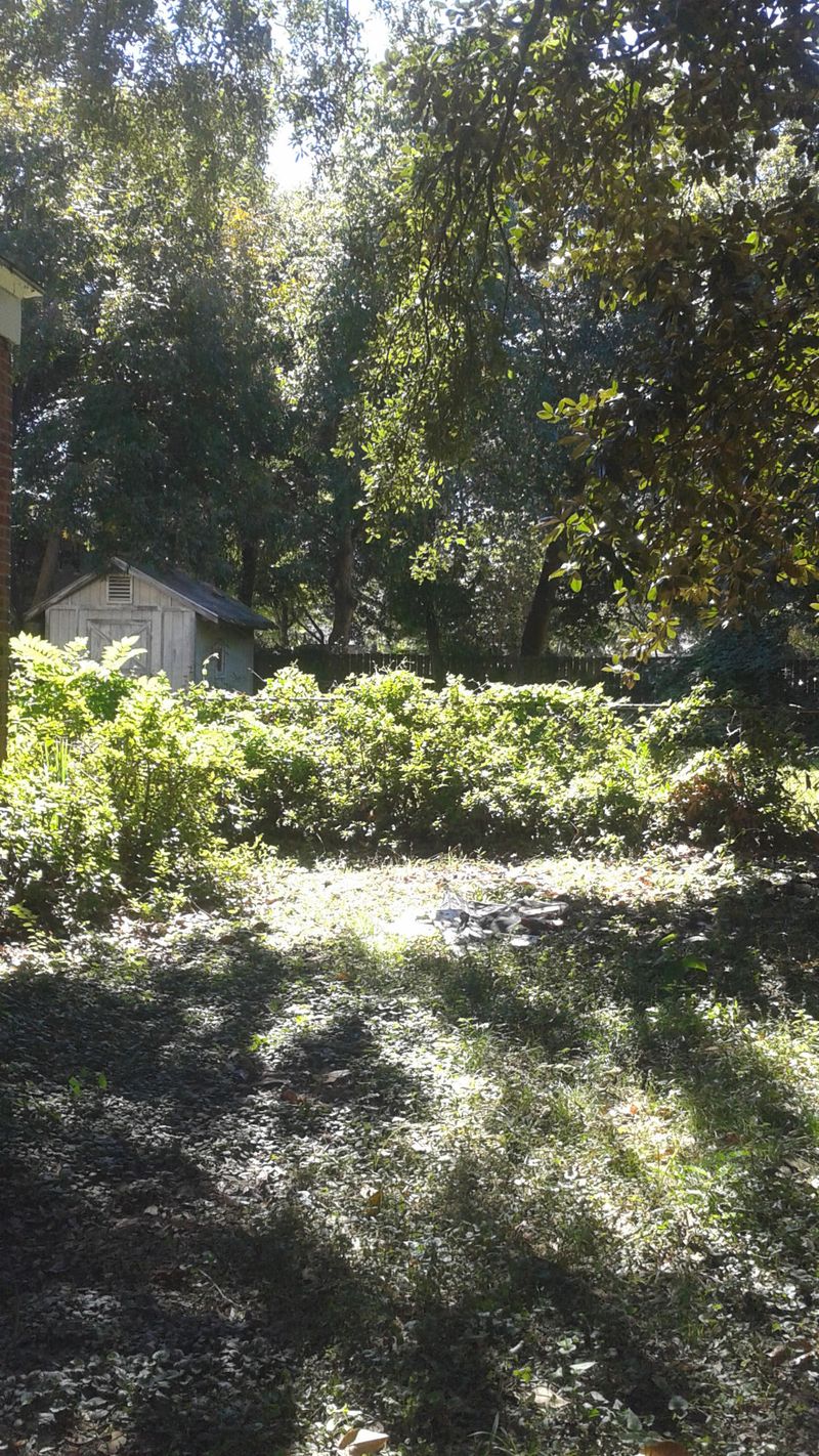557 W Elizabeth Ln, Charleston, SC 29407