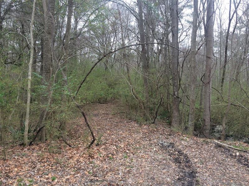 412 Huntington Rd, Summerville, SC 29483