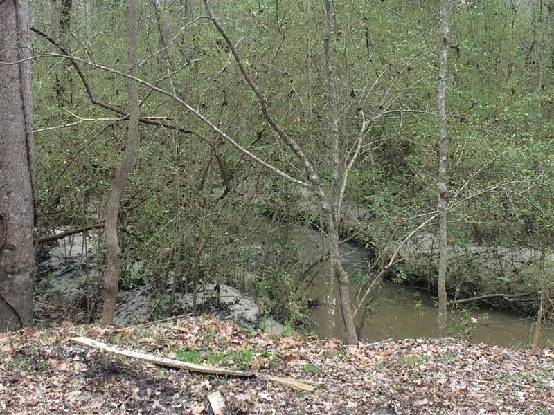 412 Huntington Rd, Summerville, SC 29483