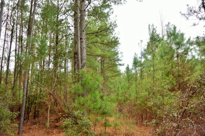 0 Stone Gate Ln, Summerville, SC 29483