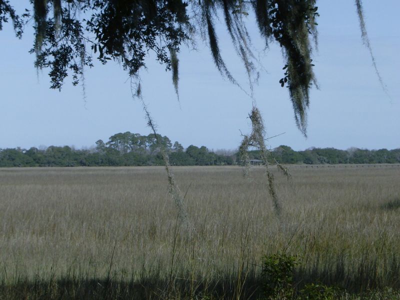 0 Pumpkin Hill Rd, Johns Island, SC 29455