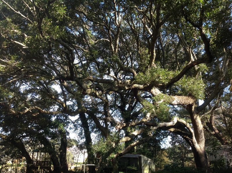 760 London Dr, James Island, SC 29412