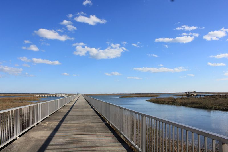 0 Mossey Grv, Awendaw, SC 29429