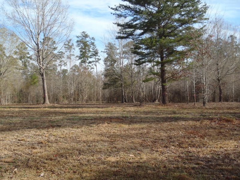 117 Boyle Way, Summerville, SC 29485