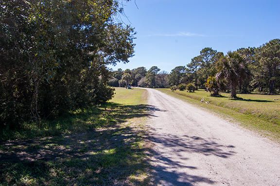 D-1 Flowers Ct, Edisto Island, SC 29438