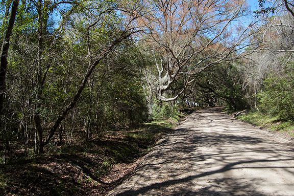 7787 Edingsville Beach Rd, Edisto Island, SC 29438