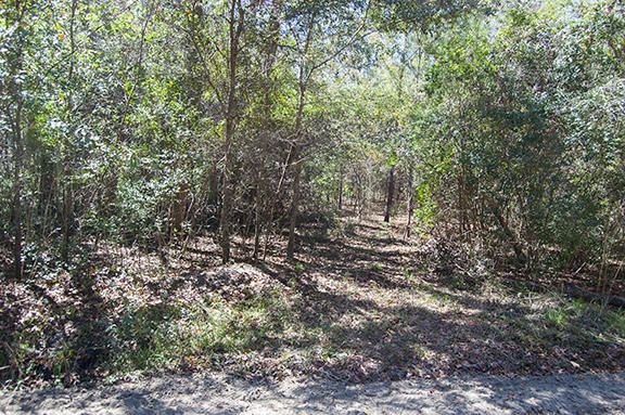 7787 Edingsville Beach Rd, Edisto Island, SC 29438