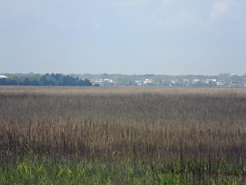 2662 Goldbug, Sullivans Island, SC 29482
