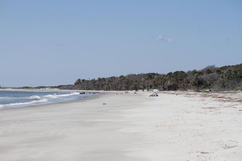 371 Pelican Flight Dr, Dewees Island, SC 29451