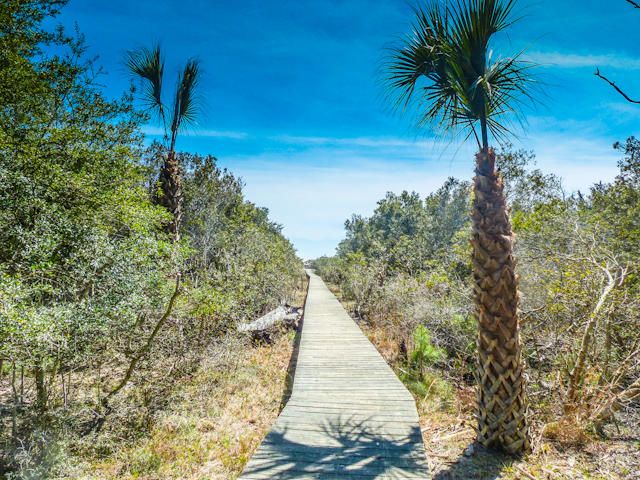 239 Pelican Flight Dr, Dewees Island, SC 29451