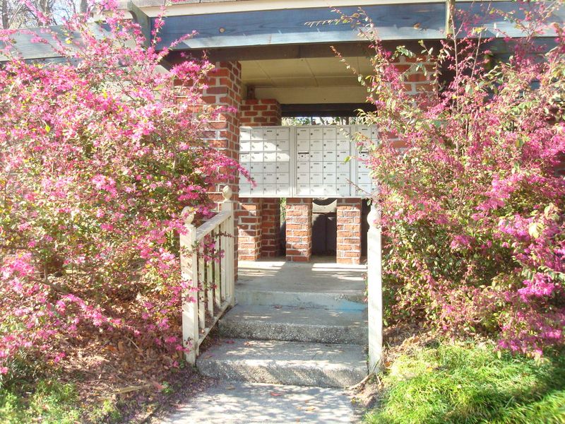 14c Townpark Ln, Charleston, SC 29412