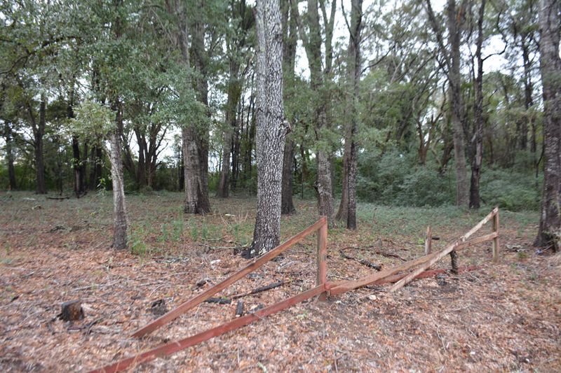 8153 Oyster Factory Rd, Edisto Island, SC 29438