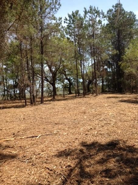 1312 Eden Rd, Awendaw, SC 29429