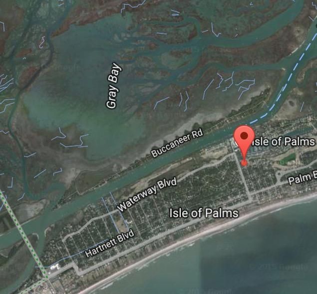 7 Frank Sottile Ln, Isle Of Palms, SC 29451