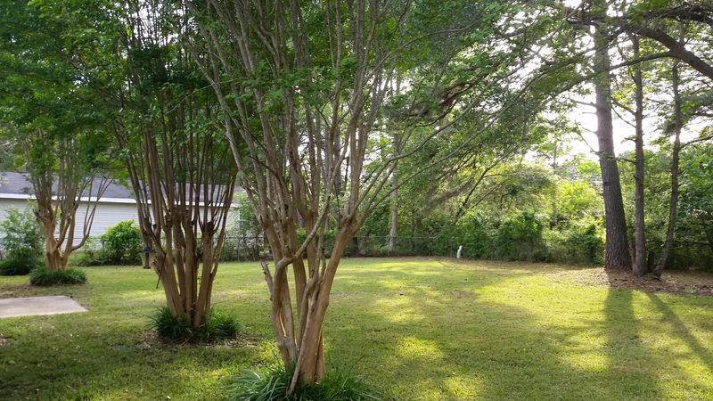 109 Canaberry Cir, Summerville, SC 29483