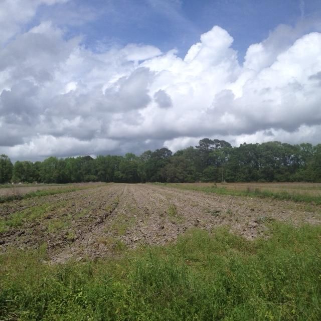 Lot 2 Toogoodoo Rd, Meggett, SC 29449
