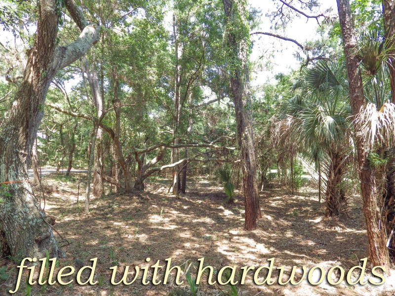 0 Oristo Ridge Rd #C1, Edisto Beach, SC 29438