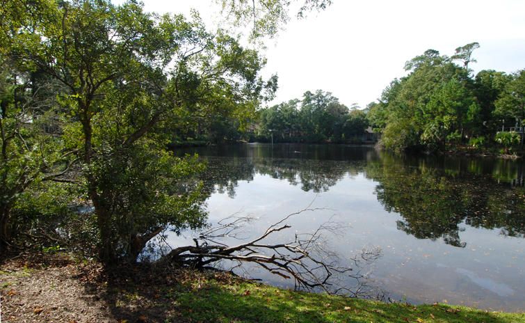 1639 Old Drake Dr, Seabrook Island, SC 29455