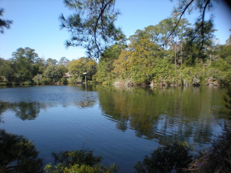 2848 Old Drake Dr, Seabrook Island, SC 29455