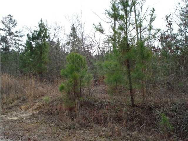 0 Soaring Way, Summerville, SC 29483