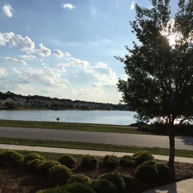 3022 Sugarberry Ln, Johns Island, SC 29455