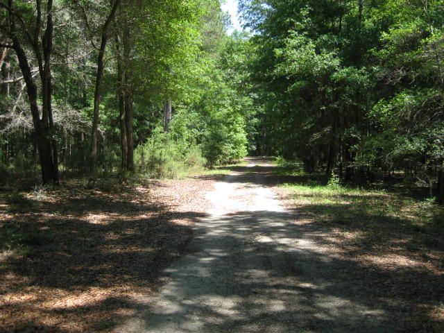 9 Brownleaf Dr, Edisto Island, SC 29438