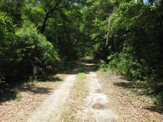 9 Brownleaf Dr, Edisto Island, SC 29438