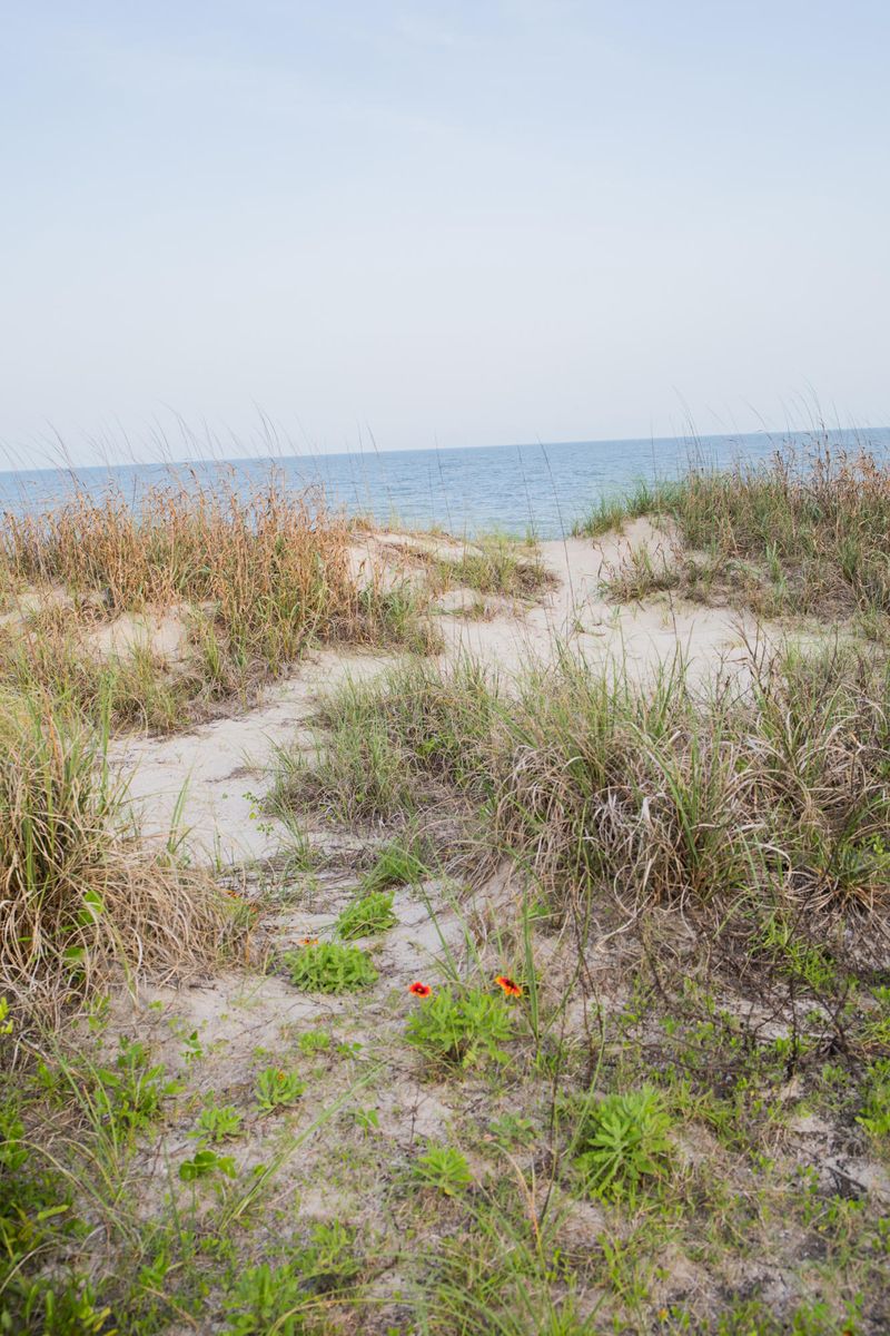 1004 Palmetto Blvd, Edisto Island, SC 29438