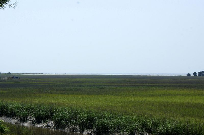 1233 Creek Watch Tc, Seabrook Island, SC 29455