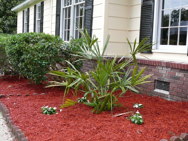 1203 Springhill, Hanahan, SC 29410