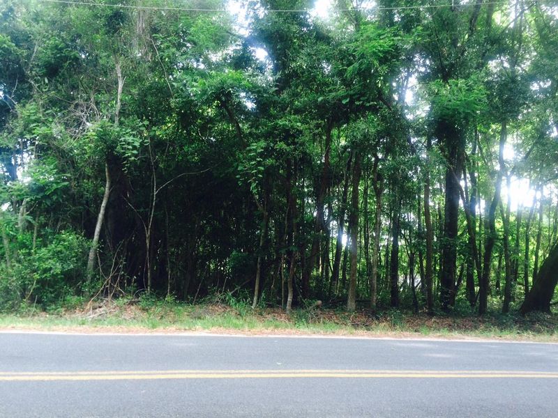 5350 Katy Hill Rd, Wadmalaw Island, SC 29487